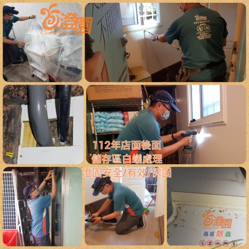 112年度8月白蟻施工案