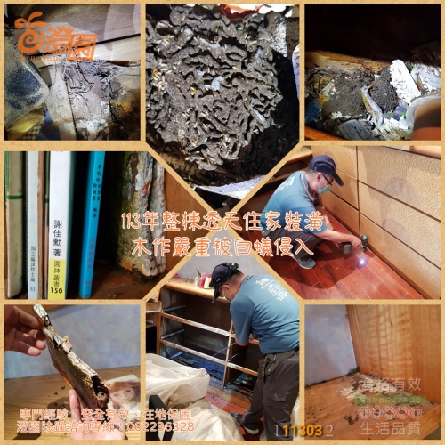 113年3月份 台南市東